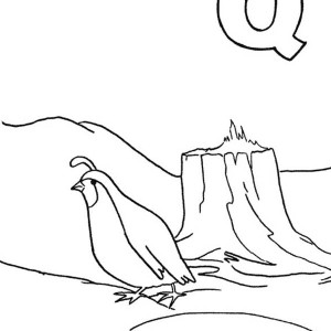 300x300 Free Printable Coloring Pages