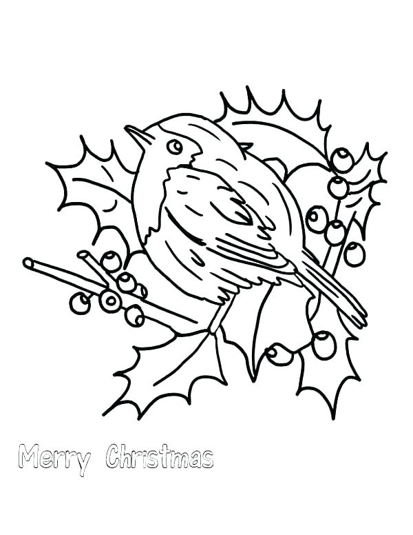 600x776 Robin Bird On Dead Tree Branch Coloring Page Download Print Robin