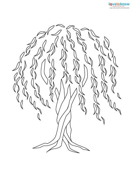 464x602 Willow Tree Coloring Page Simple Living Tree In The World Places