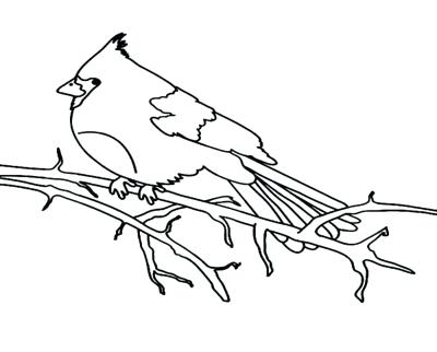400x322 Cardinal Bird Coloring Page Bird Coloring Pages Printable Coloring