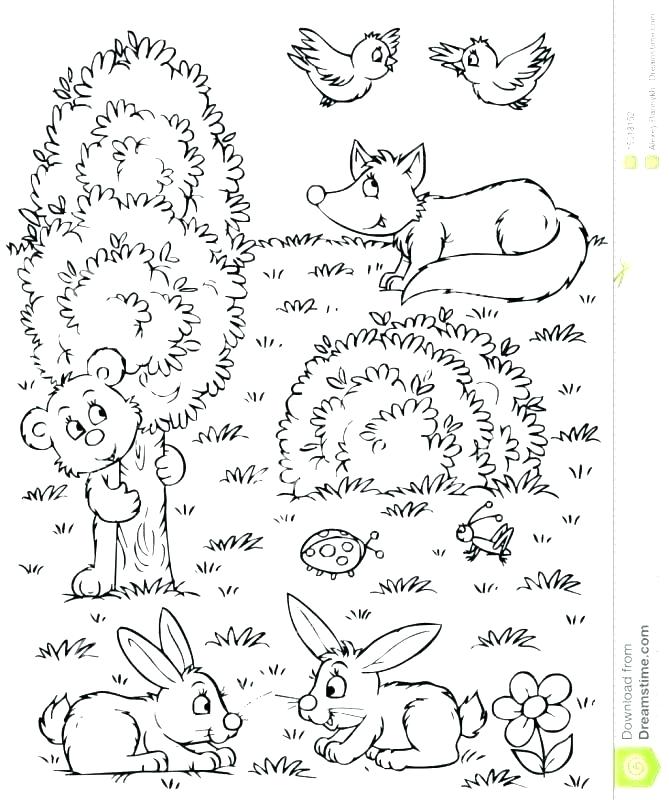 669x800 Forest Animals Coloring Pages Forest Animal Coloring Pages Doodle