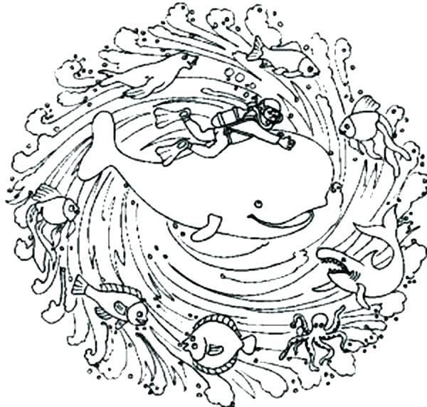 600x572 Sea Creature Coloring Pages Deep Sea Creatures Coloring Pages