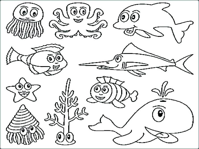 700x525 Sea Creature Coloring Pages Ocean Fish Coloring Pages Ocean Fish