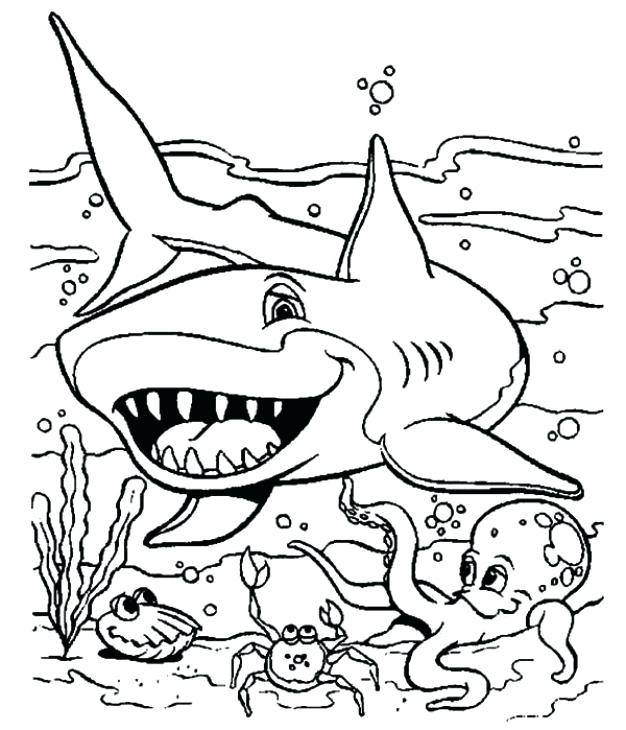 626x730 Under The Sea Animal Predator Shark Coloring Page Shark Week Under
