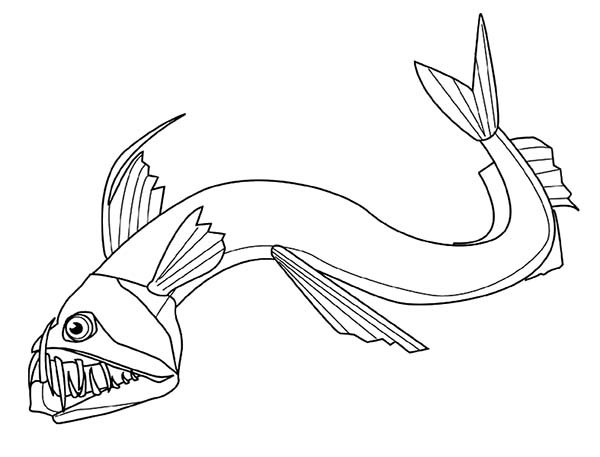 600x457 Deep Sea Angler Fish Colouring Pages Best Place To Color