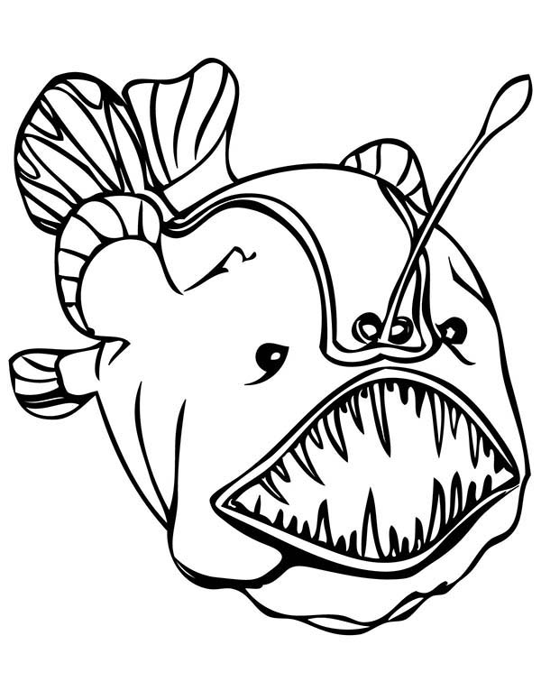 600x776 Angler Fish Coloring Page