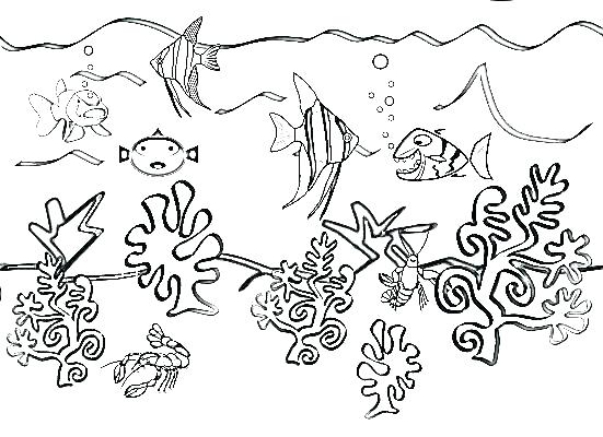 551x400 Free Printable Sea Life Coloring Pages Sea Animal Coloring Pages