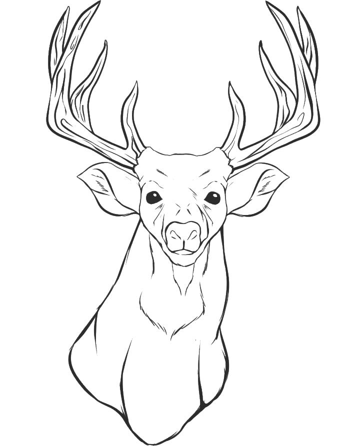 700x892 Deer Head Coloring Pages