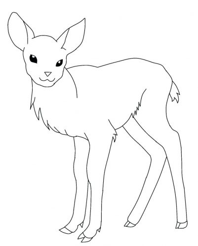 401x500 Coloring Pages Deer Coloring Pages Baby Sheets Deer Coloring