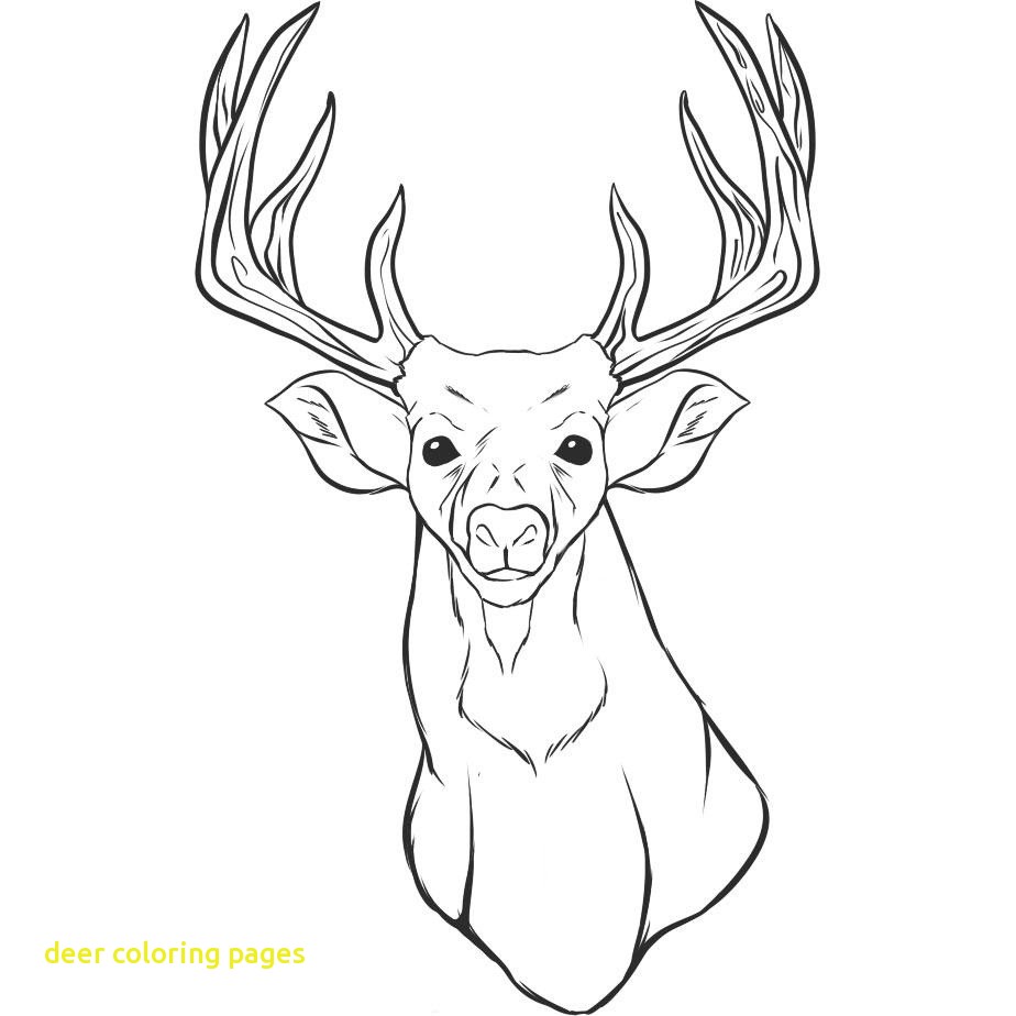 924x924 Printable Deer Pictures