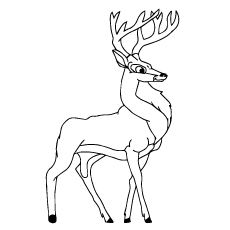 230x230 Top Deer Coloring Pages For Your Little Ones