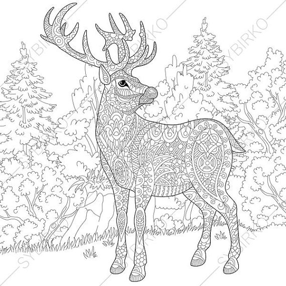 570x570 Deer Reindeer Coloring Pages Animal Coloring Book Pages