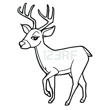 450x450 Mother And Baby Deer Coloring Pages Deer Coloring Picture Cartoon