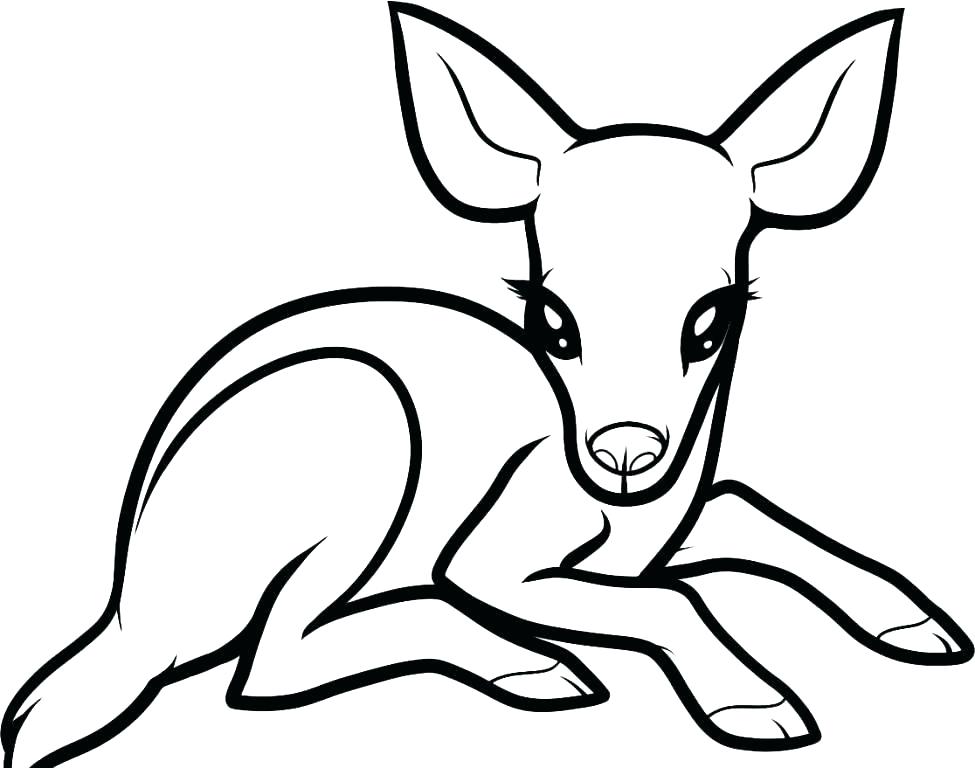 975x768 Deer Printable Coloring Pages