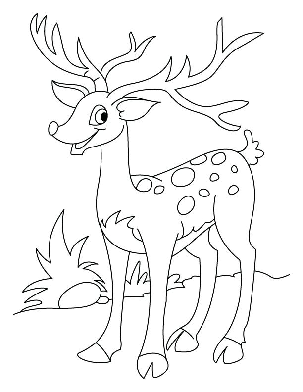 612x792 Deer Hunting Color Pages Kids Coloring Happy Deer Coloring Page
