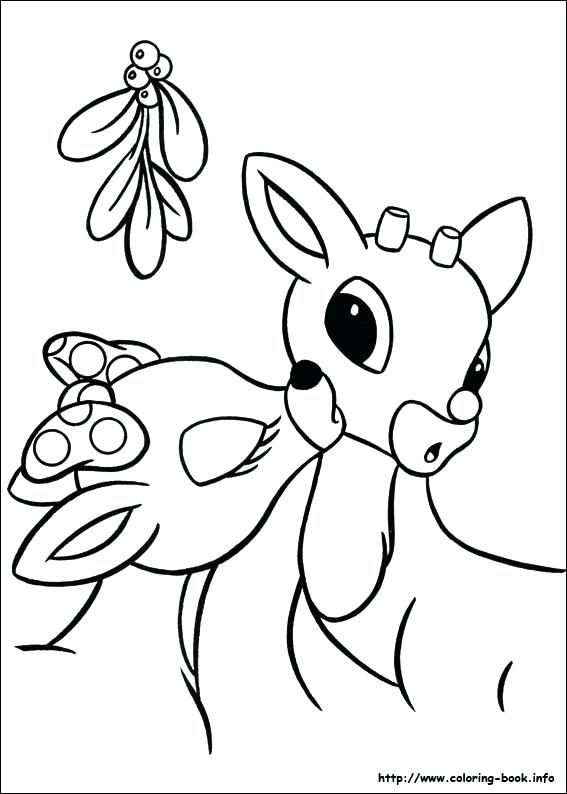 567x794 Deer Pictures To Color