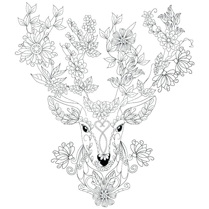 709x709 Coloring Pages Deer