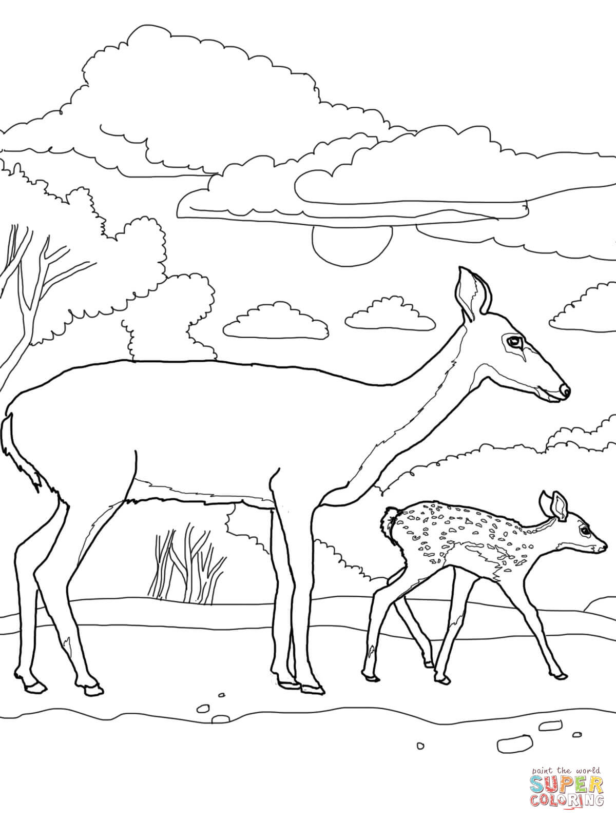 1200x1600 Fawn Coloring Page Free Printable Coloring Pages Fawn Coloring