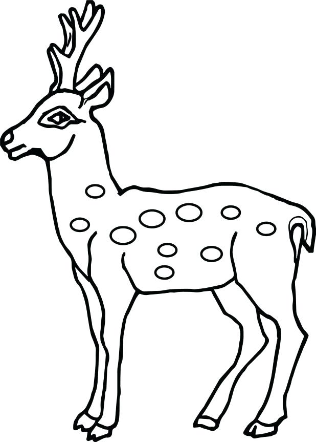 618x863 Deer Printable Kids Colouring Baby Reindeer Coloring Pages Page