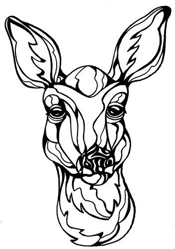352x500 Deer Face Picturescoloring Sheets Wood Burning