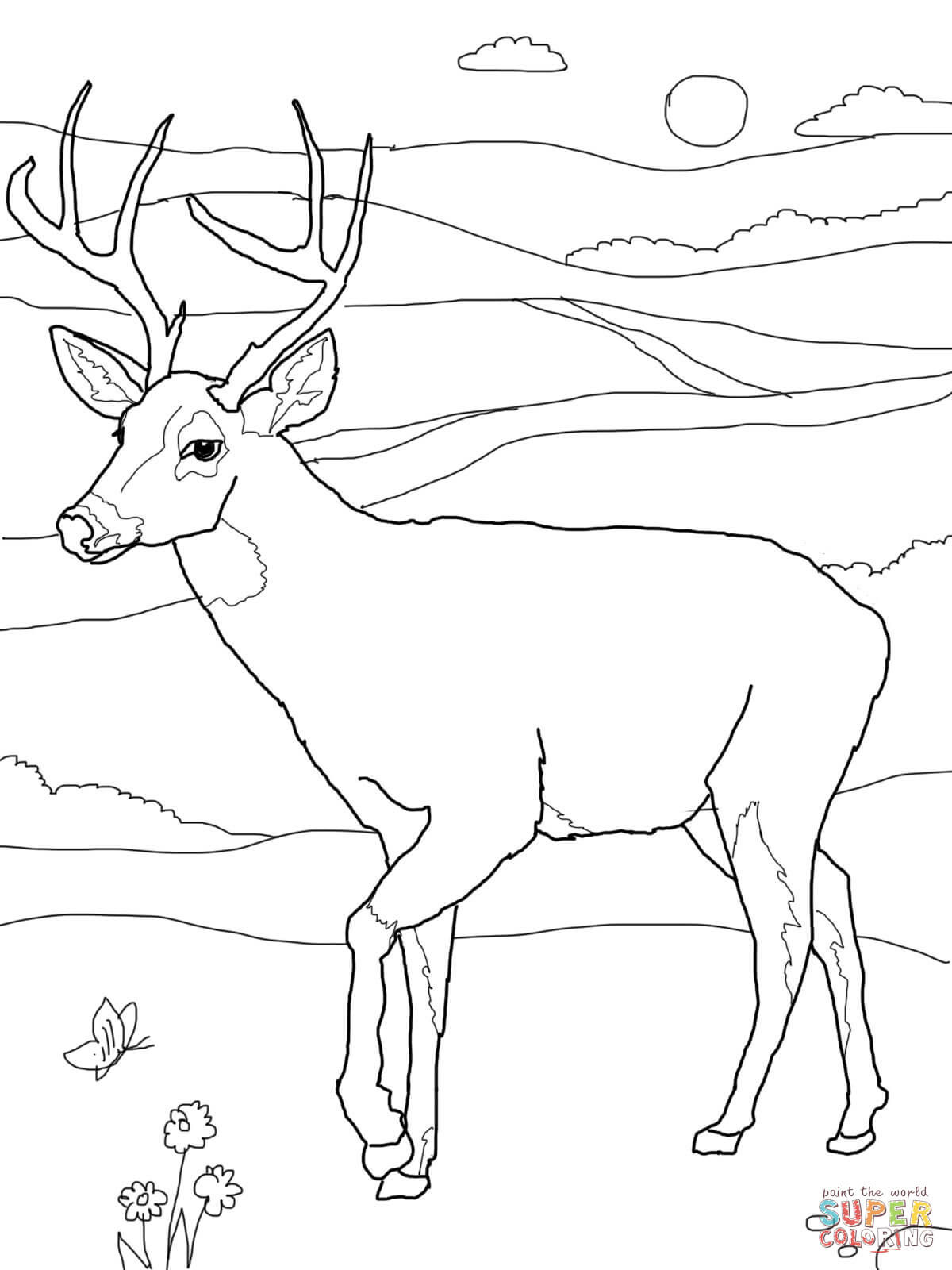 1200x1600 Unique Coloring Pages Deer