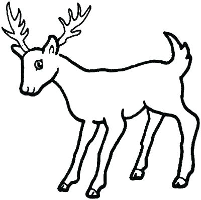 400x398 Deer Coloring Pages
