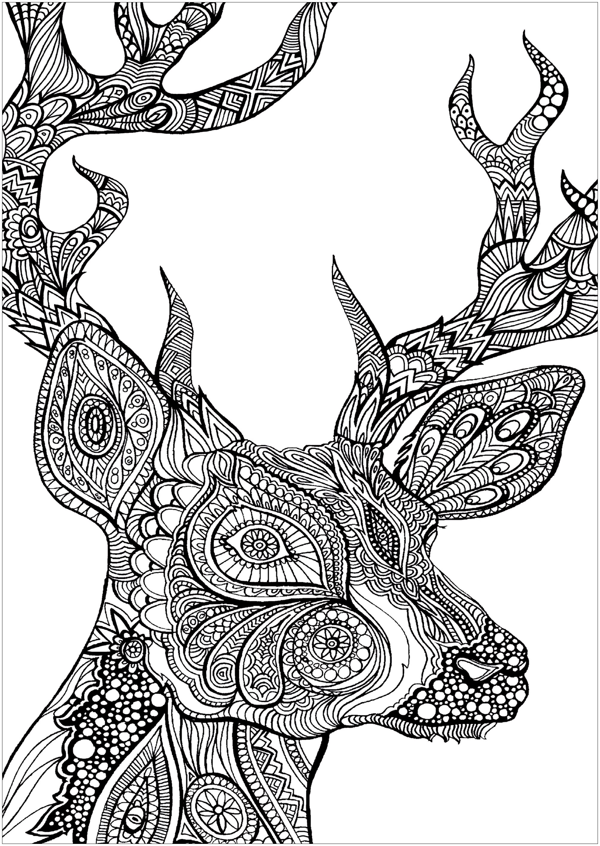 2006x2828 Deer Animals Printable Coloring Pages Throughout Designs