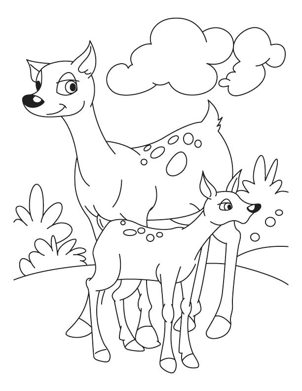 612x792 Deer Coloring Pages Fawn With Deer Coloring Pages Deer Head