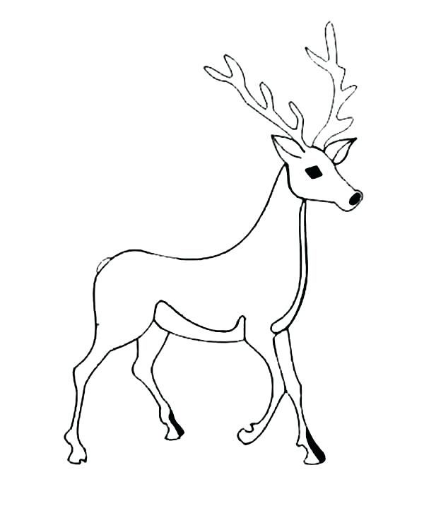 600x733 Whitetail Deer Coloring Pages Male Deer Picture Coloring Page