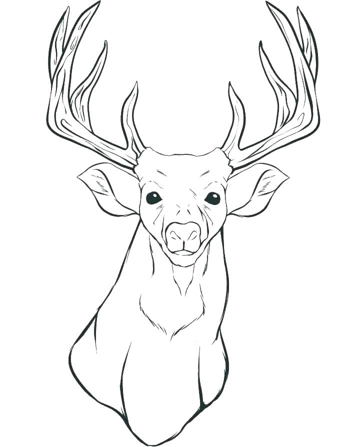 700x892 Deer Hunting Coloring Pages