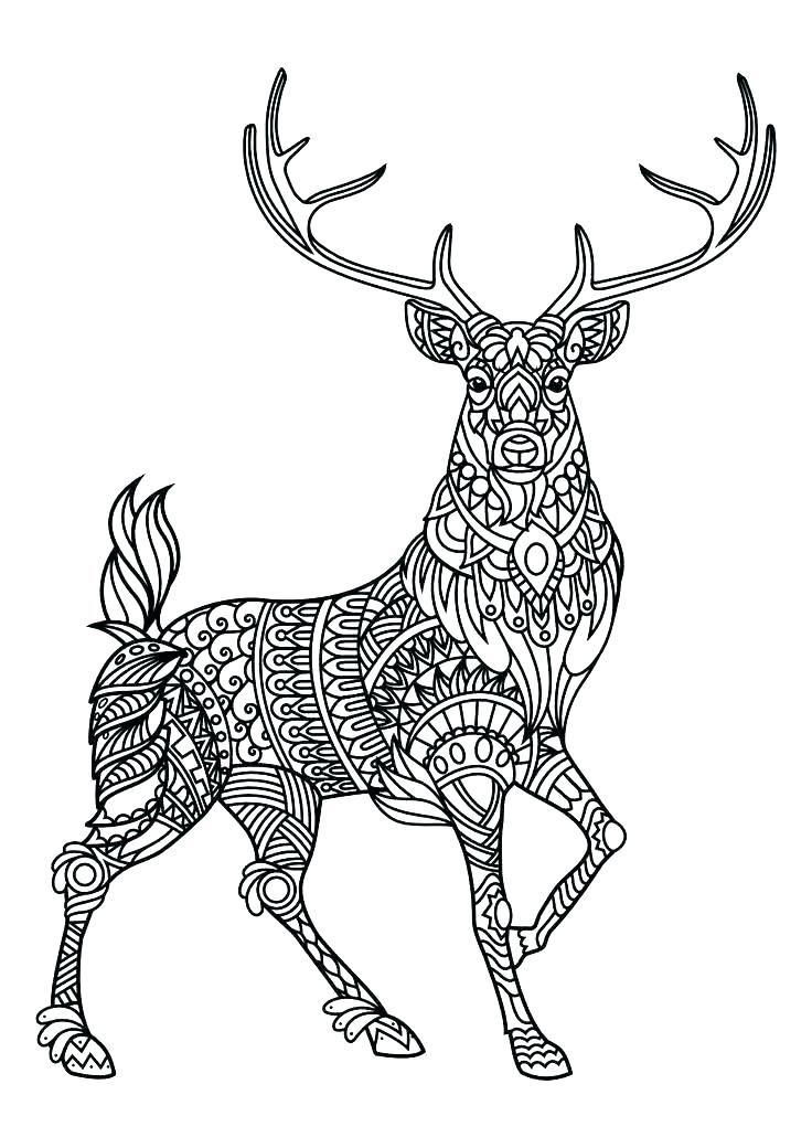736x1040 Elk Coloring Pages Deer Hunting Coloring Pages Elk Coloring Pages