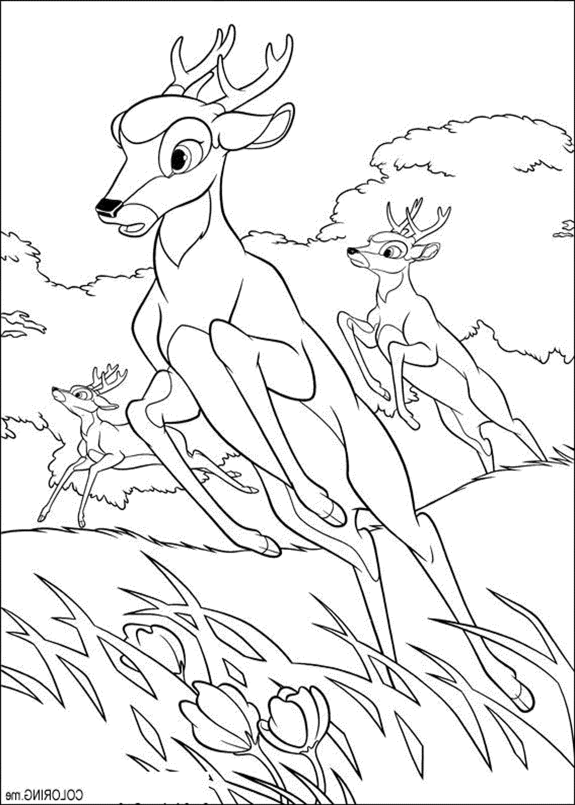 2000x2801 Deer Hunting Coloring Pages