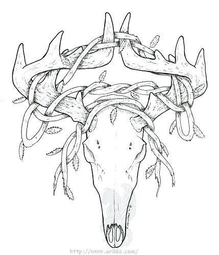 429x500 Deer Skull Coloring Pages