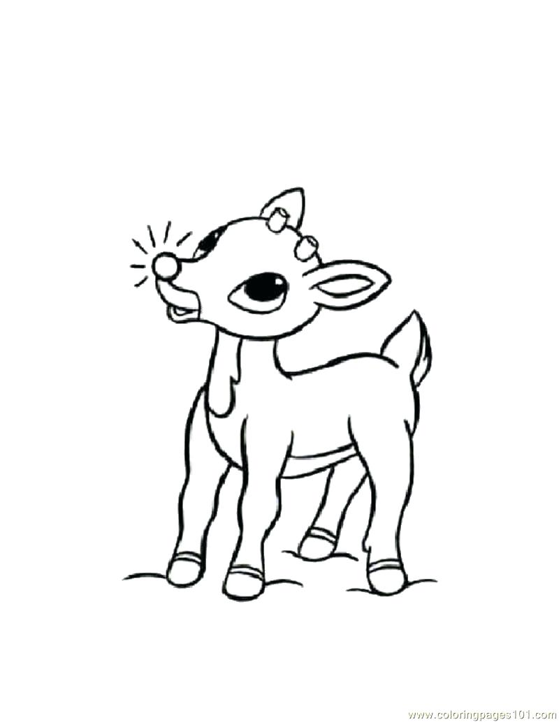 800x1034 Coloring Pages Deer Coloring Page Head Outline Deer Coloring