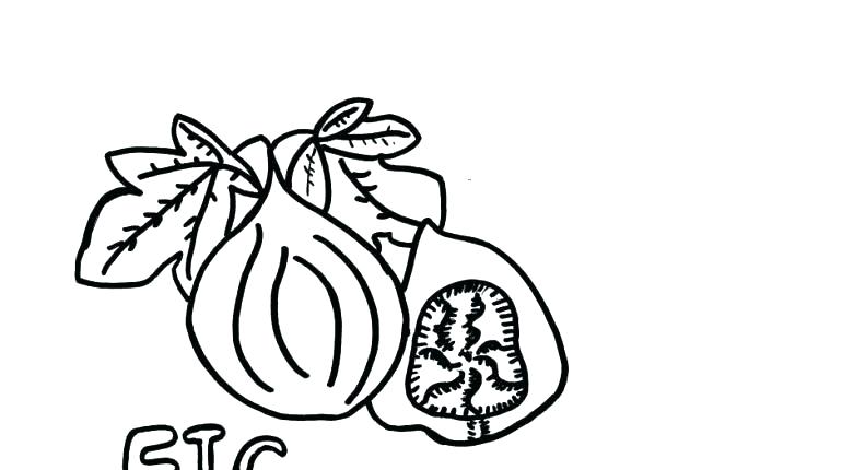 770x430 Denver Broncos Coloring Page