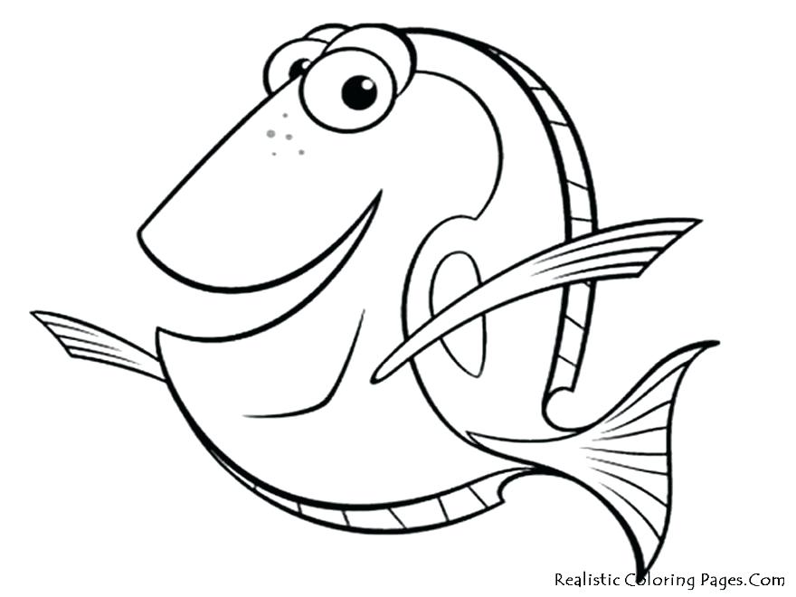 880x660 Great Coloring Pages Beautiful Coloring Page Fish Wallpaper Pages