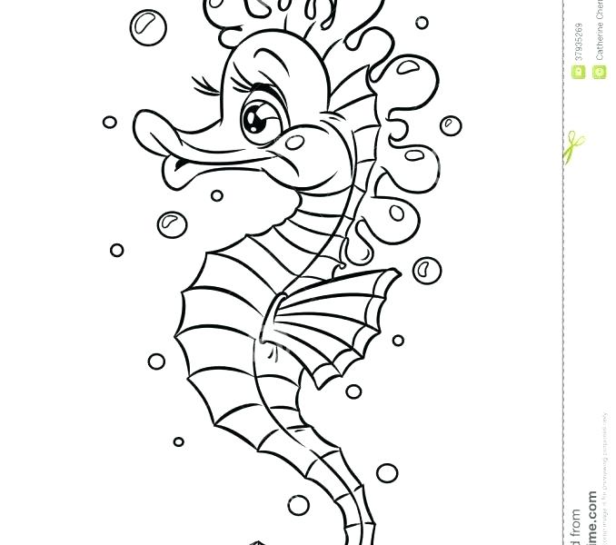 678x600 Sea Horse Coloring Page Seahorse Coloring Page Seahorse Coloring