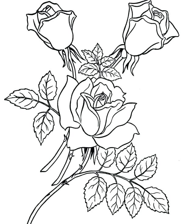 Derrick Rose Coloring Pages at GetDrawings | Free download