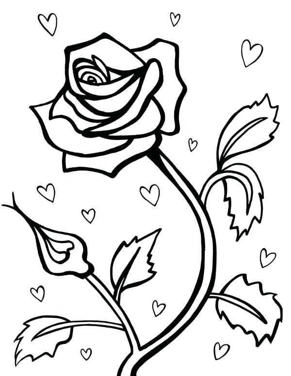600x776 Rose Coloring Pages Images