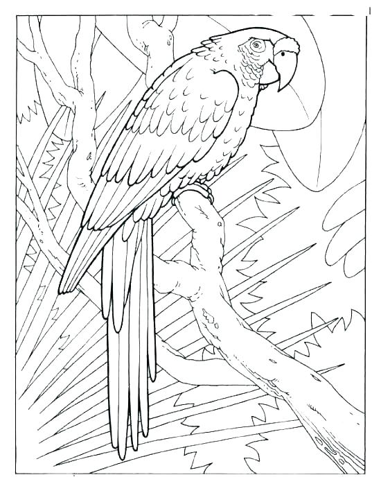 550x711 Descendants Coloring Book