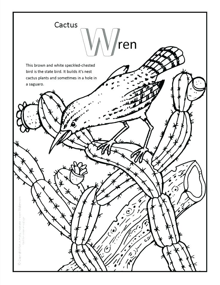 736x952 Desert Coloring Pages Coloring Pages Animals Living In A Hollow
