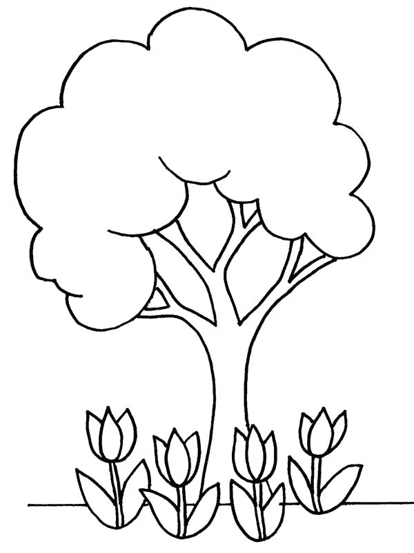 600x800 Plants Coloring Page Desert Animal Coloring Pages Plants Coloring