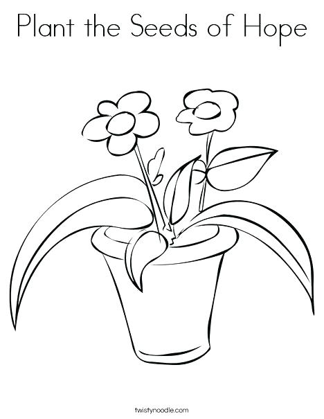468x605 Coloring Pages Plants Coloring Pages Of Plants Fascinating Plant