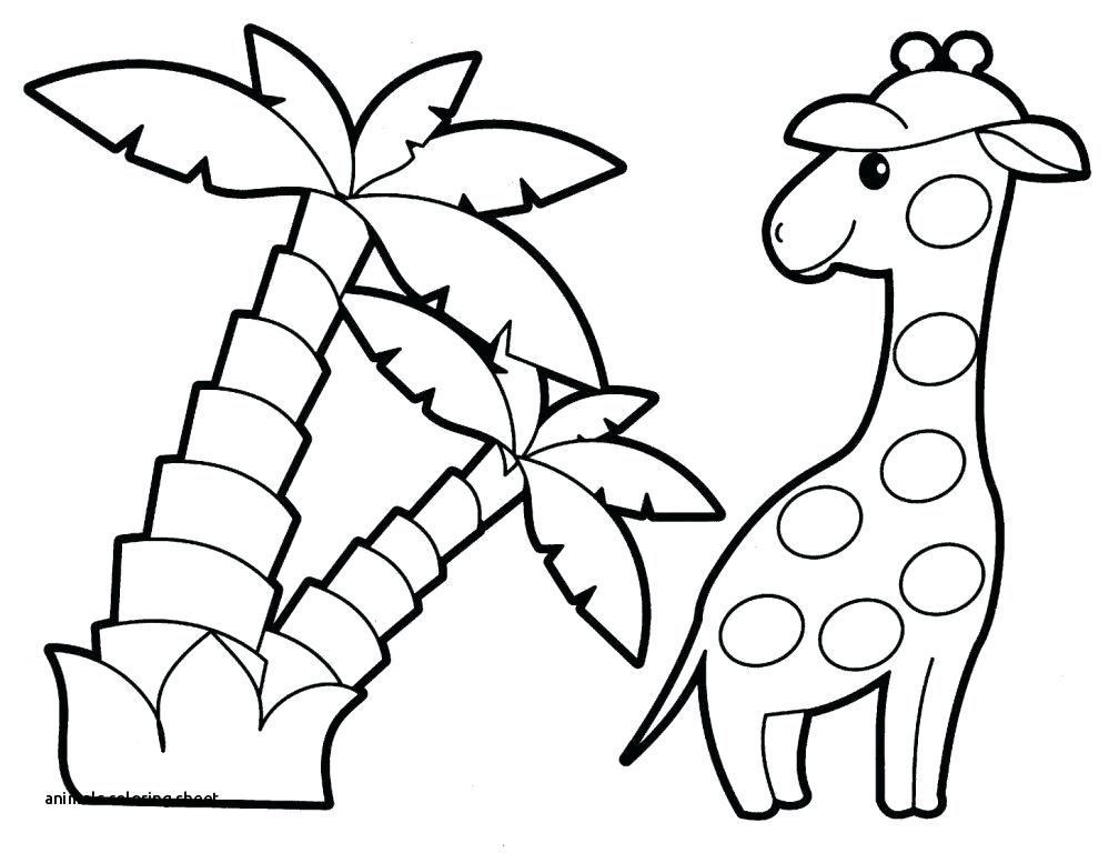 1008x768 Desert Animals Coloring Pages Printable Sheet With Free Animal