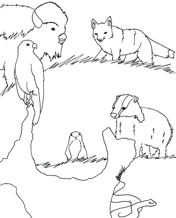 618x764 Fancy Design Desert Animal Coloring Pages Ostrich Runs Grassland