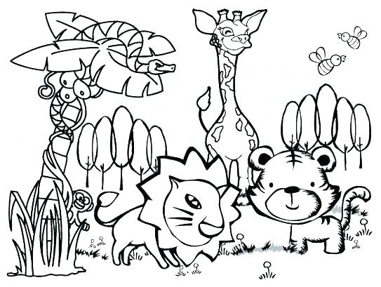 543x409 Sonoran Desert Animal Coloring Pages Animals Printable Jungle