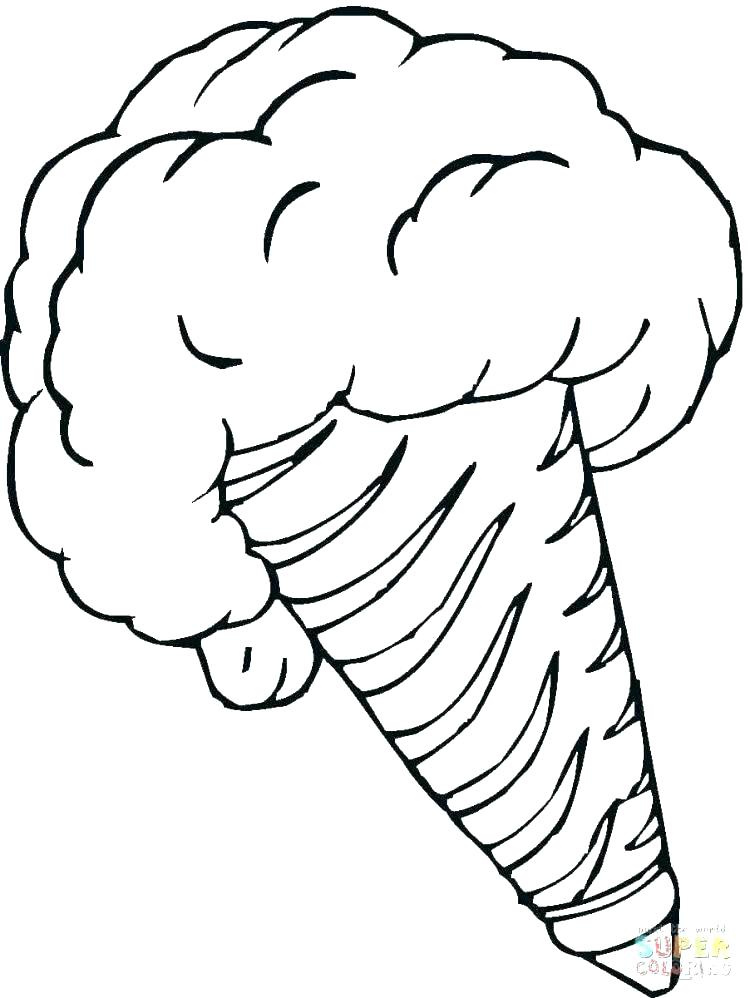 750x998 Desert Animals Coloring Pages