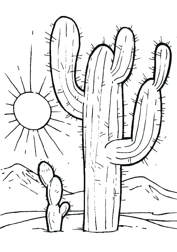 600x852 Desert Animal Coloring Pages Desert Animals Coloring Pages Wild