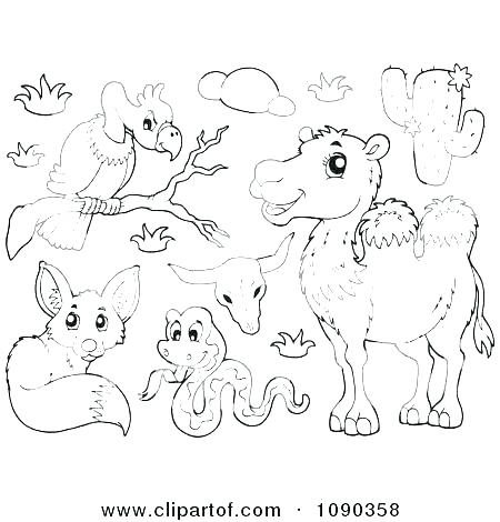 450x470 Desert Animal Coloring Pages Desert Animal Coloring Pages Desert
