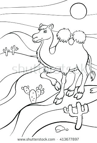 318x470 Desert Animals And Plants Coloring Pages Preschool To Sweet Animal